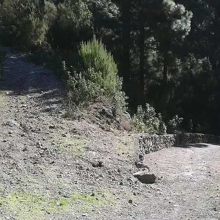 Casa Elias * Guancha de Abajo